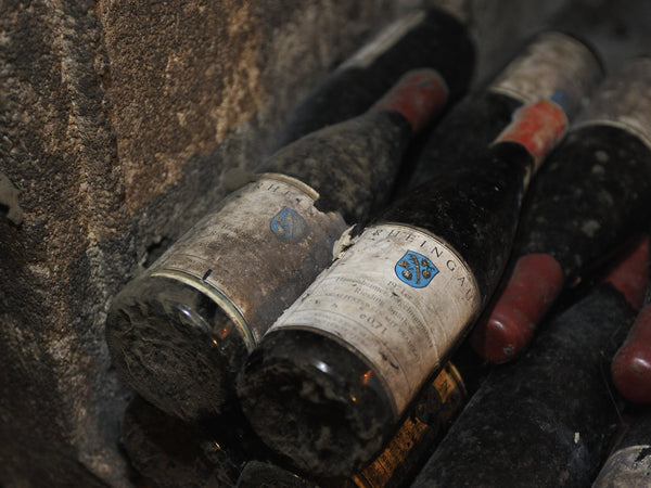 Perfekte Lagerbedingungen für Raritäten