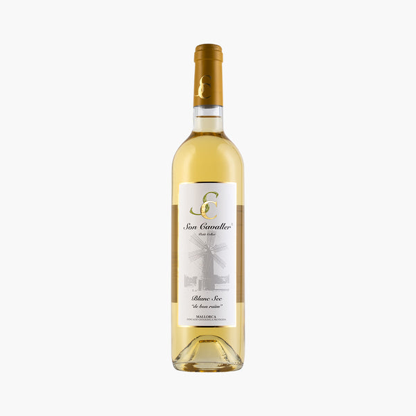 2025 Blanc Sec